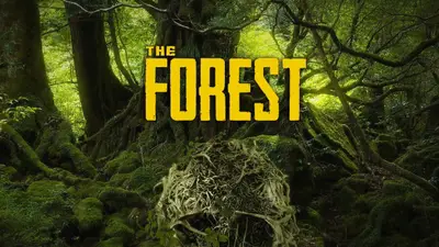 The Forest Steam Account